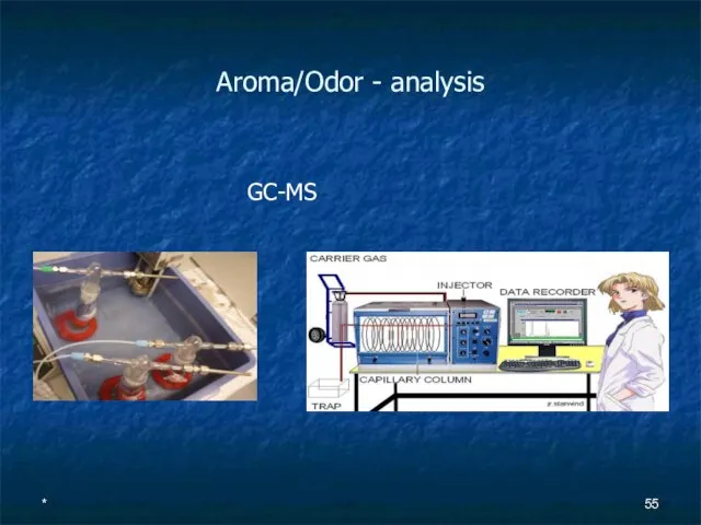 Aroma/Odor - analysis GC-MS *