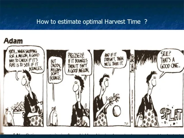 How to estimate optimal Harvest Time ? *