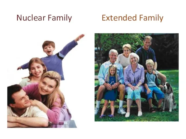 Nuclear Family Extended Family