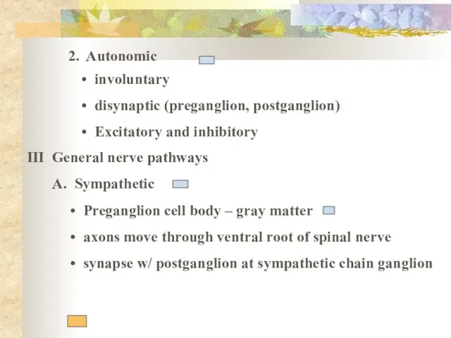 2. Autonomic involuntary disynaptic (preganglion, postganglion) Excitatory and inhibitory III General nerve