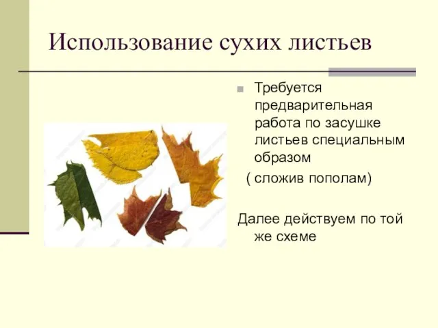 Использование сухих листьев Требуется предварительная работа по засушке листьев специальным образом (