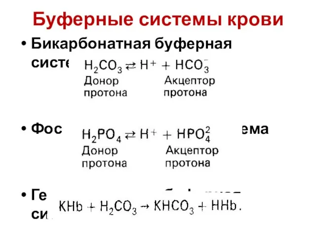 Буферные системы крови Бикарбонатная буферная система Фосфатная буферная система Гемоглобиновая буферная система