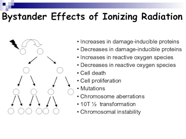 Bystander Effects of Ionizing Radiation Increases in damage-inducible proteins Decreases in damage-inducible