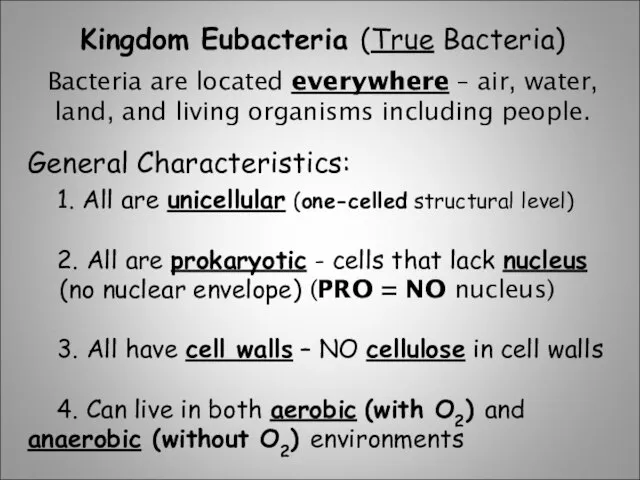 Kingdom Eubacteria (True Bacteria) Bacteria are located everywhere – air, water, land,