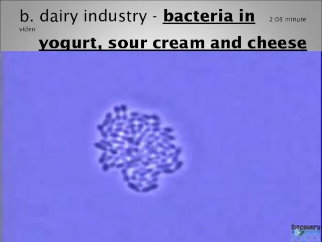 b. dairy industry - bacteria in 2:08 minute video yogurt, sour cream and cheese