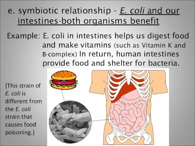 e. symbiotic relationship - E. coli and our intestines-both organisms benefit Example: