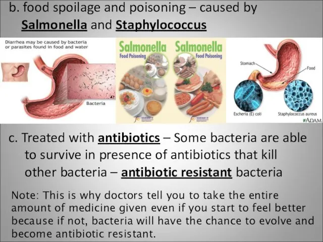 b. food spoilage and poisoning – caused by Salmonella and Staphylococcus c.