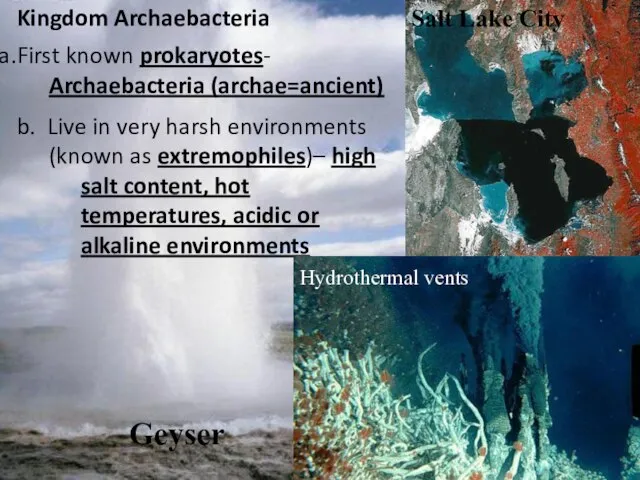 Kingdom Archaebacteria First known prokaryotes- Archaebacteria (archae=ancient) b. Live in very harsh