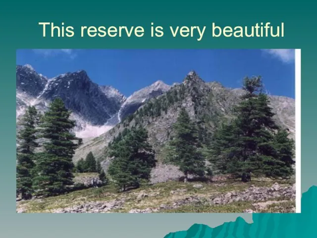 This reserve is very beautiful