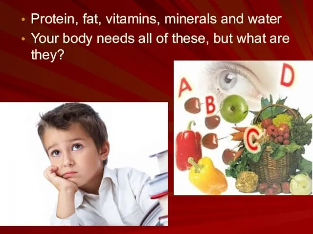 Protein, fat, vitamins, minerals and water Your body needs all of these, but what are they?