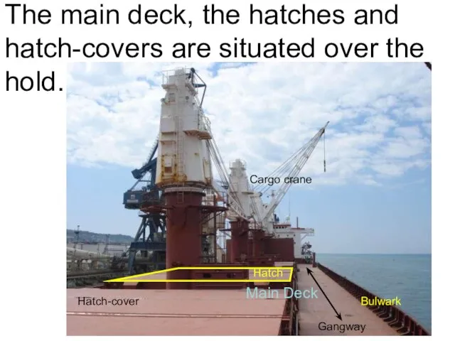 The main deck, the hatches and hatch-covers are situated over the hold.