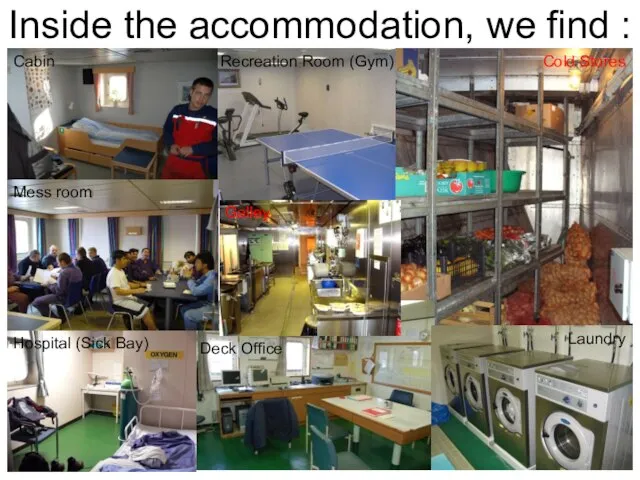 Inside the accommodation, we find : Recreation Room (Gym) Cabin Cold Stores