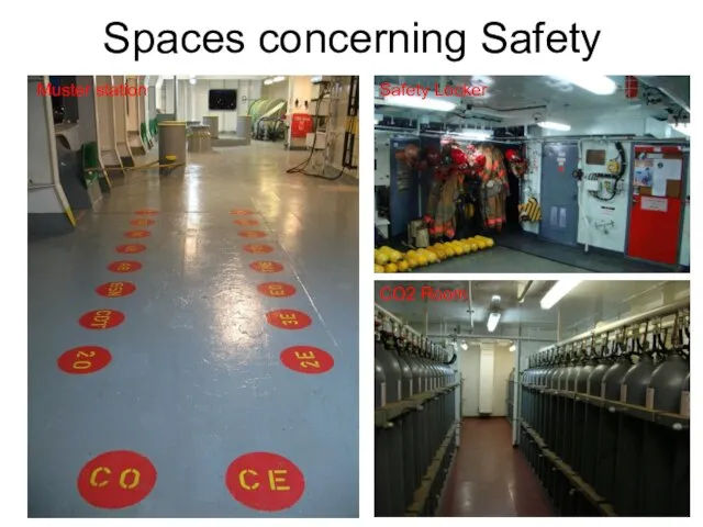 Spaces concerning Safety Muster station Safety Locker CO2 Room