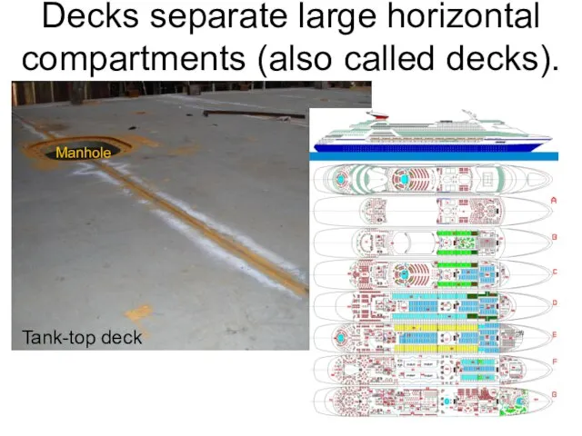 Decks separate large horizontal compartments (also called decks). Tank-top deck Manhole