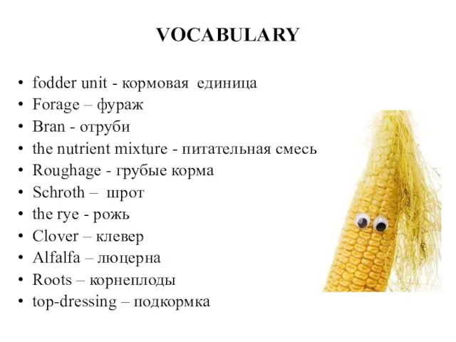 VOCABULARY fodder unit - кормовая единица Forage – фураж Bran - отруби