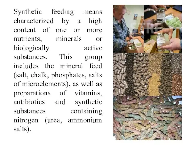 Synthetic feeding means characterized by a high content of one or more