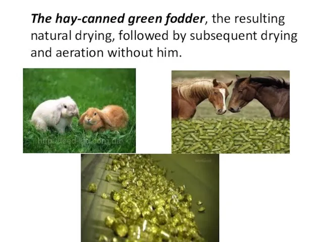 The hay-canned green fodder, the resulting natural drying, followed by subsequent drying and aeration without him.