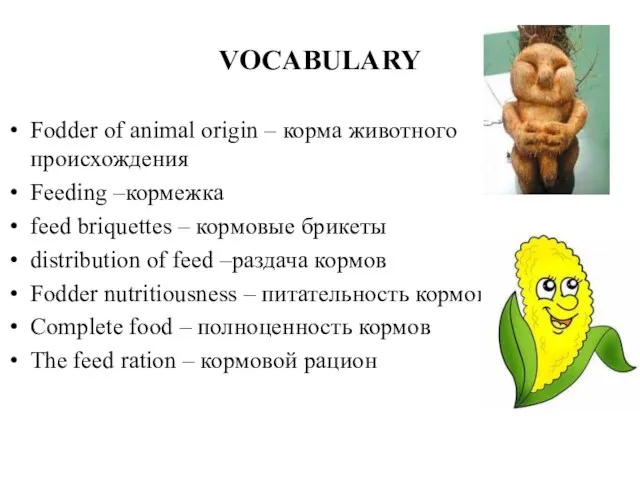 VOCABULARY Fodder of animal origin – корма животного происхождения Feeding –кормежка feed