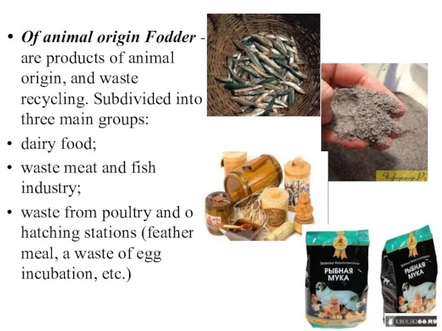 Of animal origin Fodder - are products of animal origin, and waste