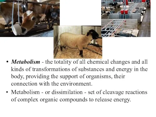 Metabolism - the totality of all chemical changes and all kinds of