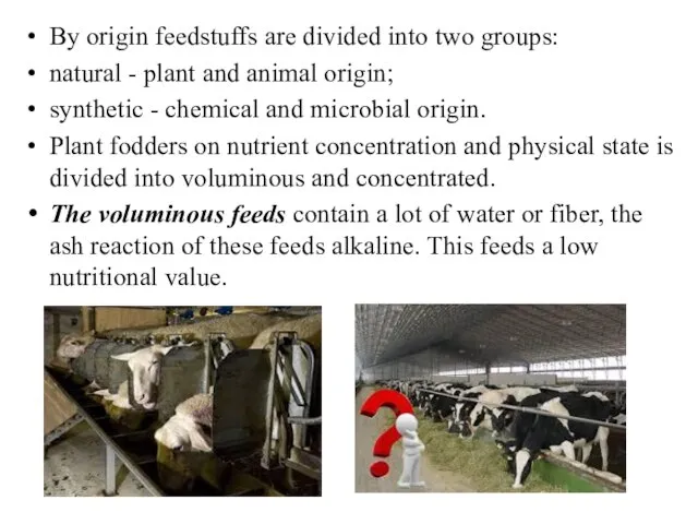By origin feedstuffs are divided into two groups: natural - plant and