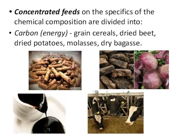 Concentrated feeds on the specifics of the chemical composition are divided into: