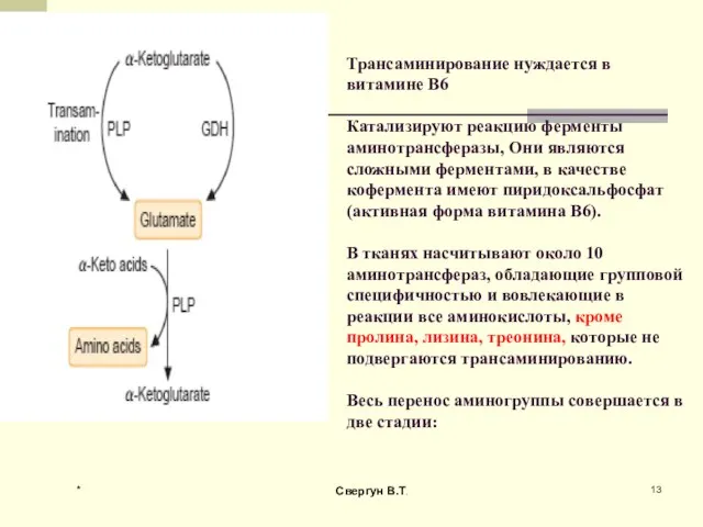 Трансаминирование нуждается в витамине В6 Катализируют реакцию ферменты аминотрансферазы, Они являются сложными