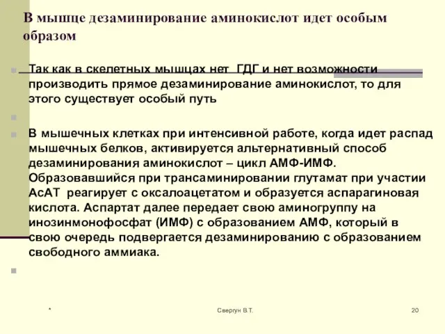 В мышце дезаминирование аминокислот идет особым образом Так как в скелетных мышцах