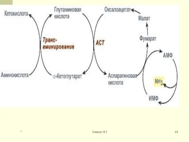 * Свергун В.Т.