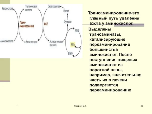 Трансаминирование-это главный путь удаления азота у аминокислот. Выделены трансаминазы, катализирующие переаминирование большинства