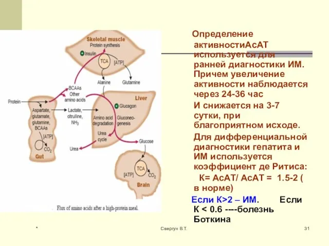 Определение активностиАсАТ используется для ранней диагностики ИМ. Причем увеличение активности наблюдается через