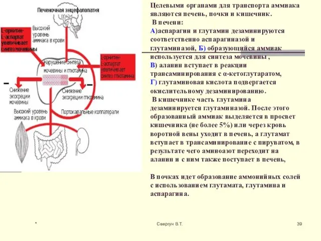 Целевыми органами для транспорта аммиака являются печень, почки и кишечник. В печени: