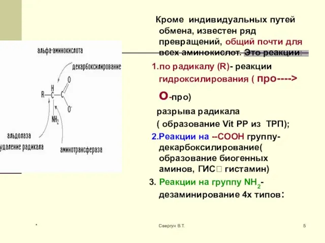 Кроме индивидуальных путей обмена, известен ряд превращений, общий почти для всех аминокислот.