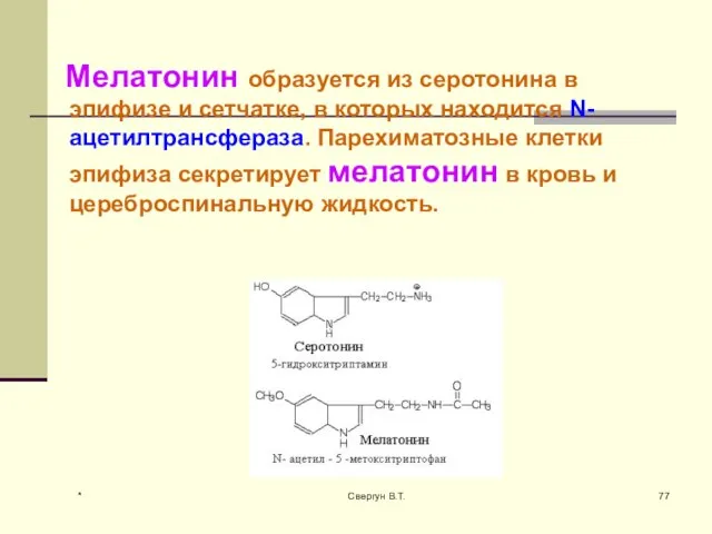 Мелатонин образуется из серотонина в эпифизе и сетчатке, в которых находится N-ацетилтрансфераза.