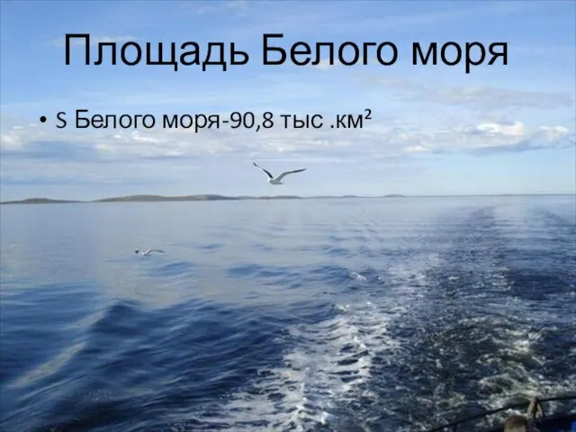 Площадь Белого моря S Белого моря-90,8 тыс .км²