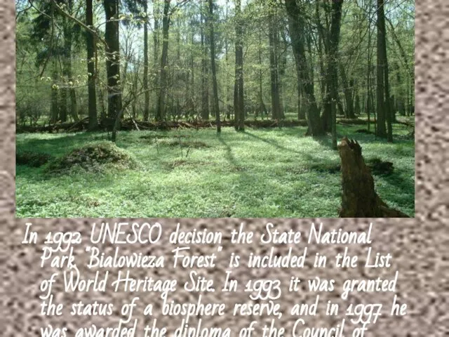 In 1992 UNESCO decision the State National Park "Bialowieza Forest" is included