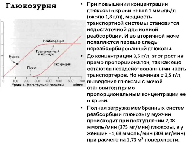 Глюкозурия При повышении концентрации глюкозы в крови выше 1 ммоль/л (около 1,8