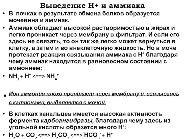 Выведение Н+ и аммиака В почках в результате обмена белков образуется мочевина