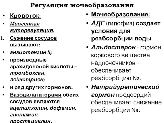 Регуляция мочеобразования Кровоток: Миогенная ауторегуляция. Сужение сосудов вызывают: ангиотензин II; производные арахидоновой