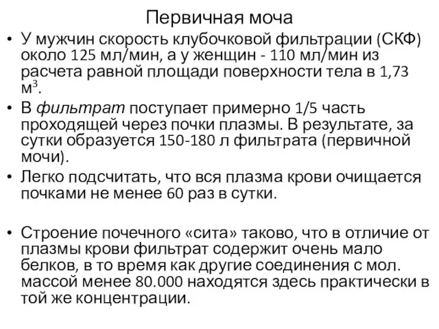 Первичная моча У мужчин скорость клубочковой фильтрации (СКФ) около 125 мл/мин, а