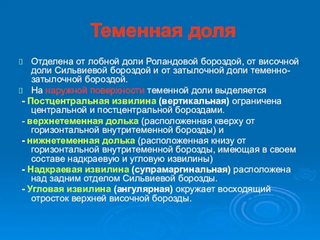 Теменная доля Отделена от лобной доли Роландовой бороздой, от височной доли Сильвиевой