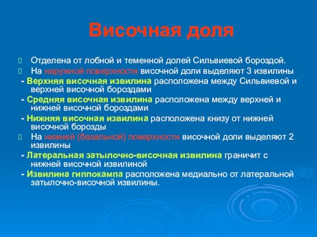 Височная доля Отделена от лобной и теменной долей Сильвиевой бороздой. На наружной