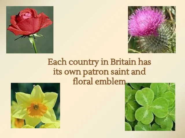 Each country in Britain has its own patron saint and floral emblem