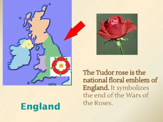 England The Tudor rose is the national floral emblem of England. It