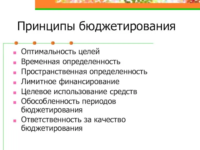 Принципы бюджетирования Оптимальность целей Временная определенность Пространственная определенность Лимитное финансирование Целевое использование