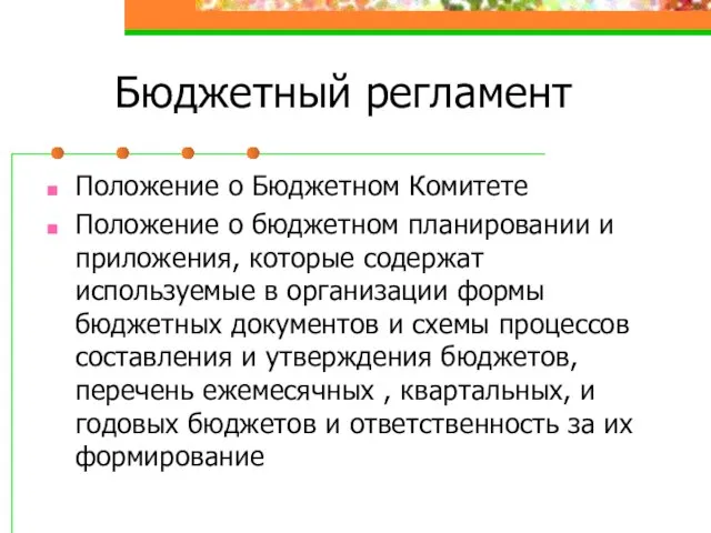 Бюджетный регламент Положение о Бюджетном Комитете Положение о бюджетном планировании и приложения,