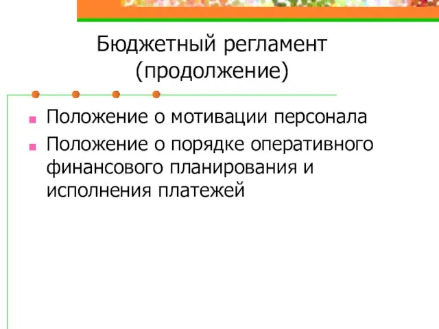 Бюджетный регламент (продолжение) Положение о мотивации персонала Положение о порядке оперативного финансового планирования и исполнения платежей