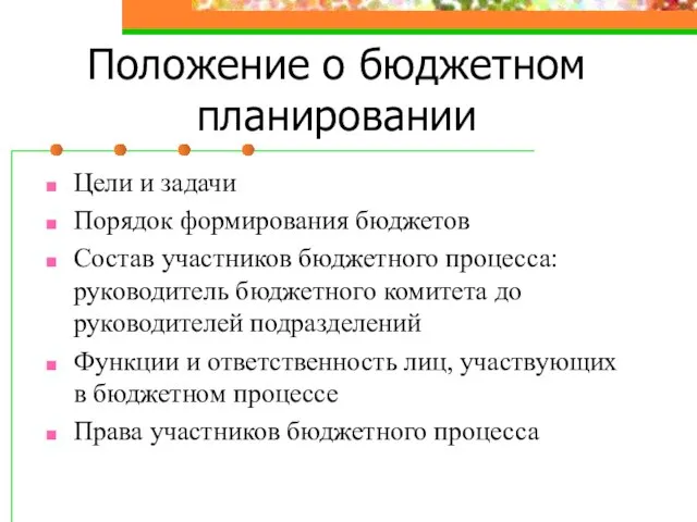 Положение о бюджетном планировании Цели и задачи Порядок формирования бюджетов Состав участников