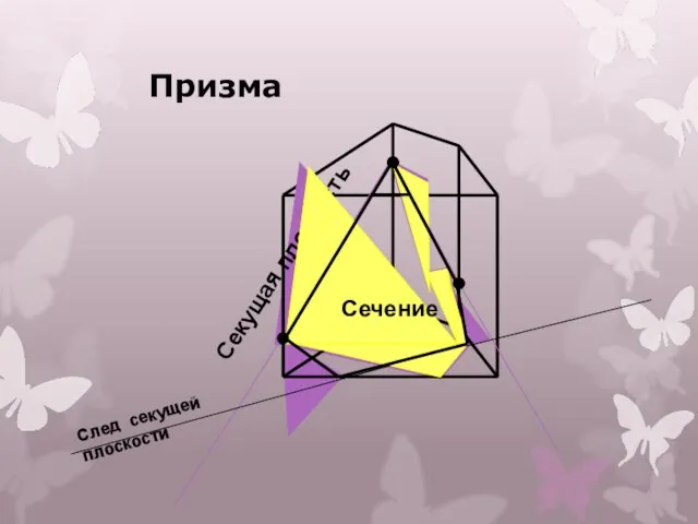 Призма Секущая плоскость Сечение