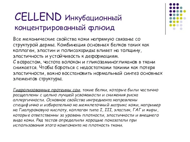 Все механические свойства кожи напрямую связаны со структурой дермы. Комбинация основных белков